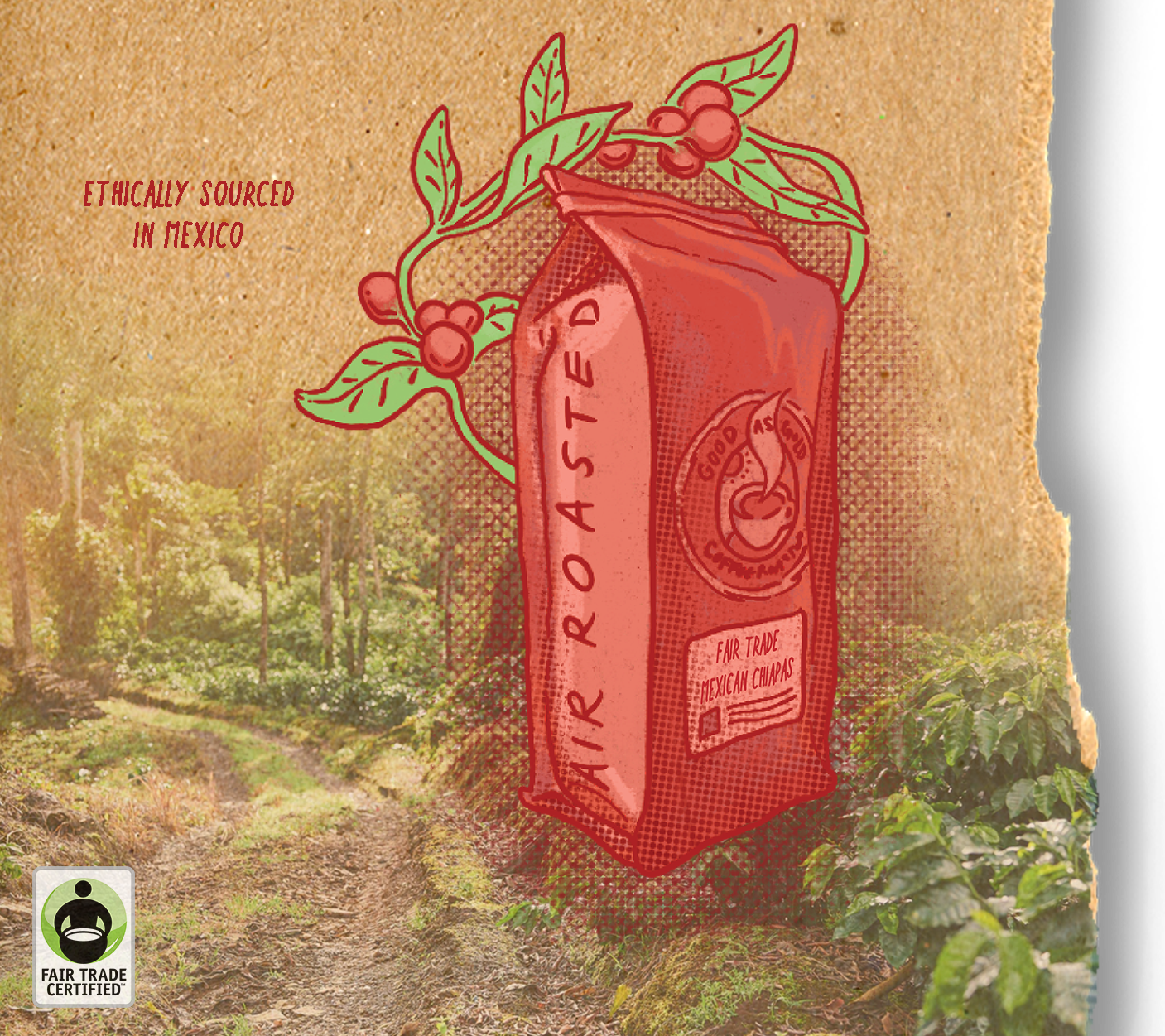 Fair Trade Mexican Chiapas (Medium Roast)
