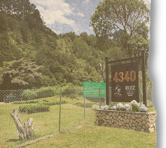 Panama Boquete - Finca La Santa