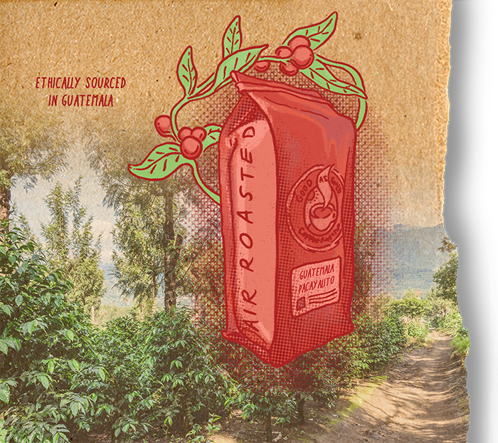 Guatemala (Medium Roast)