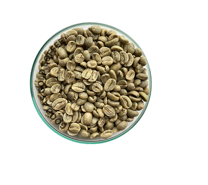 Guatemala Pacayalito Green Unroasted Coffee