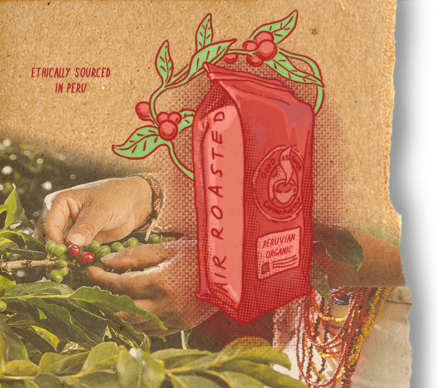 Organic Peru Dark Roast (Dark Roast)