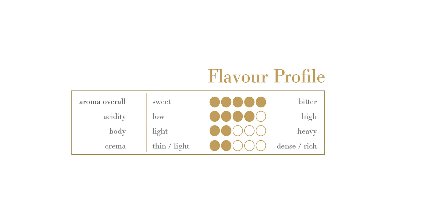 MiscelaD'Oro Gold Nespresso Flavor Profile