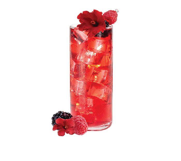 Organic Wildberry Hibiscus (1 Gallon) Iced Tea Pouches (100ct)
