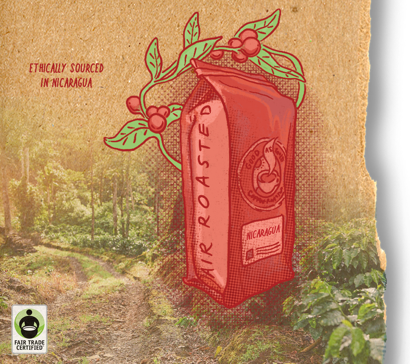 Nicaragua  (Medium Roast)