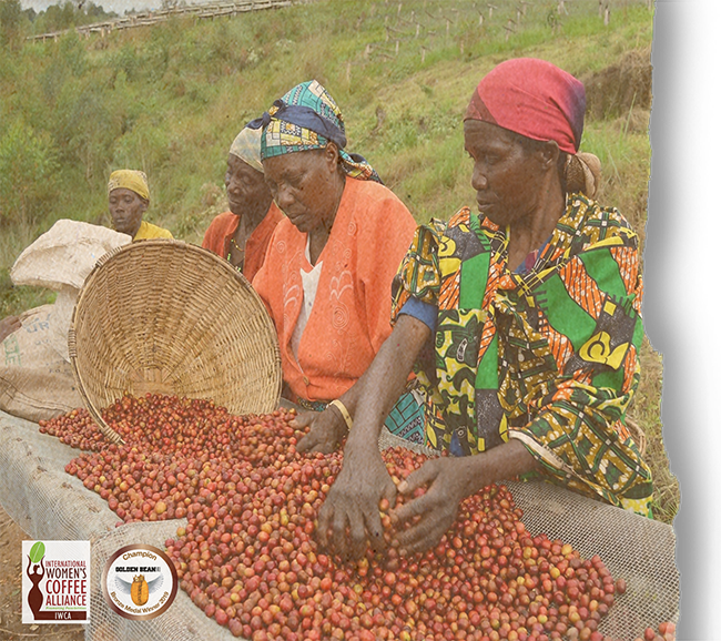 Burundi Kinyovu (Women Produced)