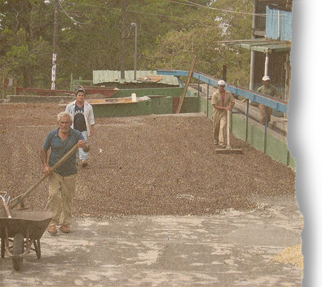 Panama Boquete - Casa Ruiz