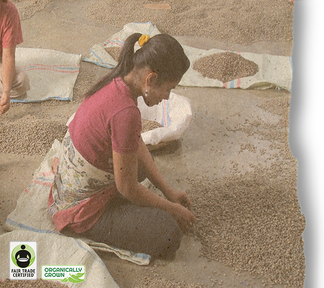 Sumatra Kokowagayo