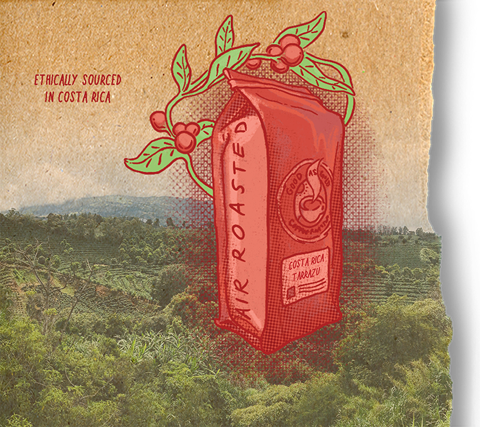 Costa Rica Tarrazu (Medium Roast)