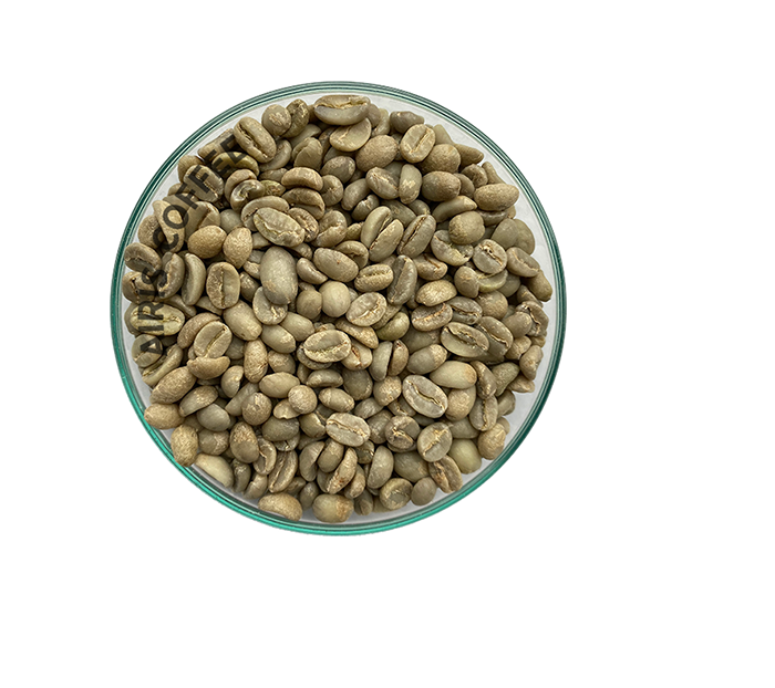 Ethiopian Guji Shakiso, Gr 1
