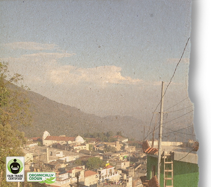 FTO Guatemala Codech