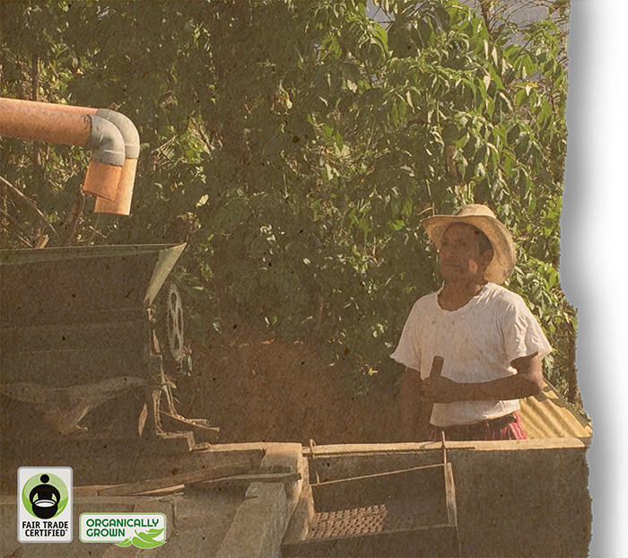 FTO Guatemala Codech