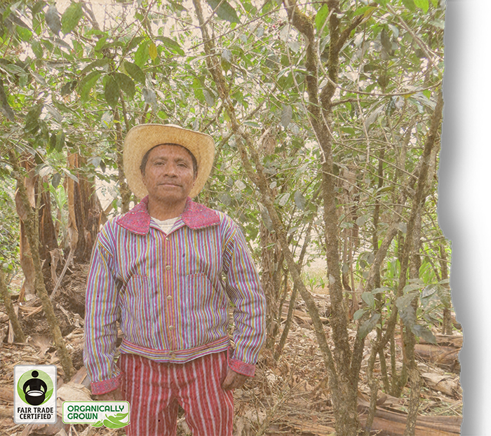 FTO Guatemala Codech