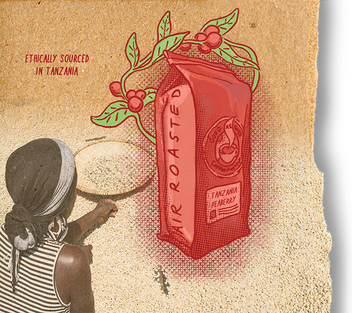 Tanzania Peaberry (Medium Roast)
